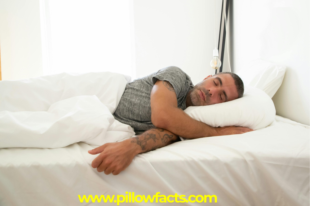 www.pillowfacts.com